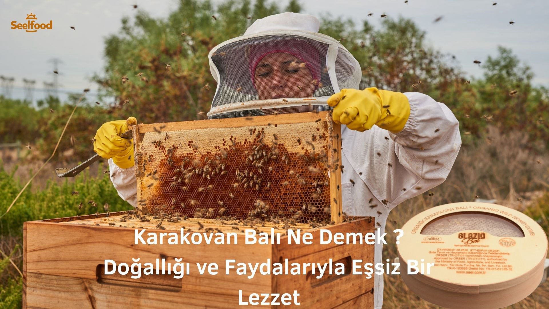Karakovan Balı Ne Demek ? Doğallığı ve Faydalarıyla Eşsiz Bir Lezzet : 